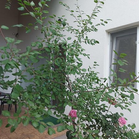 Villa Romelia - Select Apartments Vadu Exterior photo